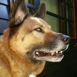 "BeHR" - 2003 - Still going at 16 years! "BeHR" - 2003 - Still going at 16 years!