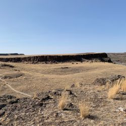 Columbia National Wildlife Refuge - A small foot trail leading somewhere.