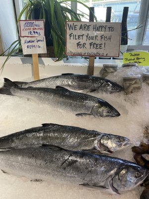 Key City Fish Company by null