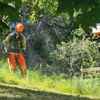 1. Dominion Brush Clearing