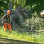 Dominion Brush Clearing