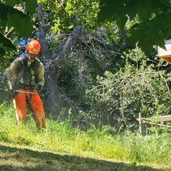 Dominion Brush Clearing - We use safety gear and appropriate equipment for maximum efficiency.
