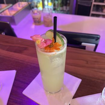 Wild - HANOI LO-FI - Coffee & Tea Near Me - Houston, Texas