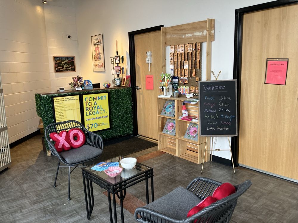 Mitten’s Pets - pet boarding facility in Ypsilanti, MI