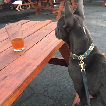 Five Window Beer - Breweries Near Me - Lodi, California Five Window Beer - Breweries Near Me - Lodi, California