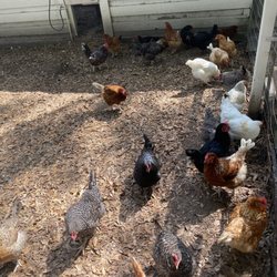 Beasley Farm