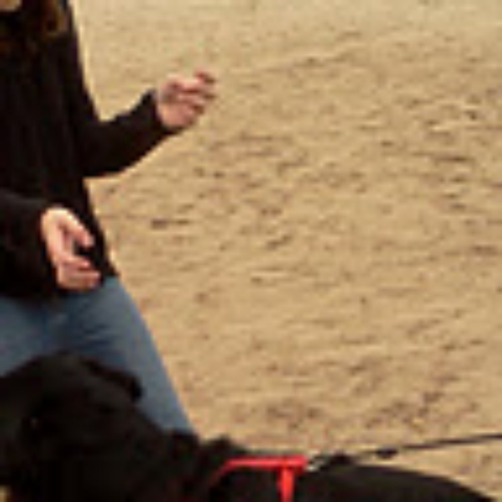 Purple Heart Park: Ivan's Spot - Dog Parks Near Me - Tucson, Arizona Purple Heart Park: Ivan's Spot - Dog Parks Near Me - Tucson, Arizona