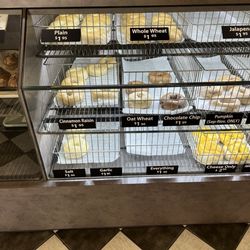 East Coast Bagel - Bagels-fresh, they cook all day.