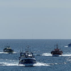 Haliotika la Cité de la pêche