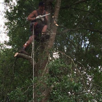 Allen's Tree Stump and Landscaping - Tree Services Near Me - Wilmington, North Carolina Allen's Tree Stump and Landscaping - Tree Services Near Me - Wilmington, North Carolina