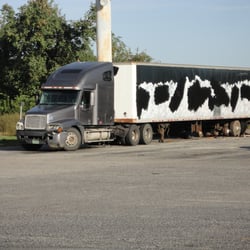 C Mart - Parking lot