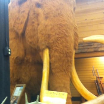 Ahlman Guns - The mammoth - Guns & Ammo Near Me - Morristown, Minnesota Ahlman Guns - The mammoth - Guns & Ammo Near Me - Morristown, Minnesota