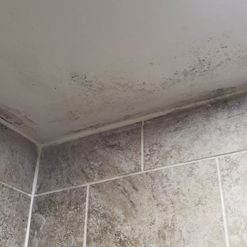 Mold Growing On Ceiling And Drywall Coming Apart Yelp