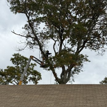 Ed's Landscaping & Tree service - Tree Services Near Me - Teaticket, Massachusetts