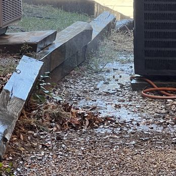 Southern Clean - Tree Services Near Me Southern Clean - Tree Services Near Me