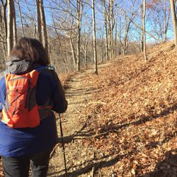 Cedar Creek Park