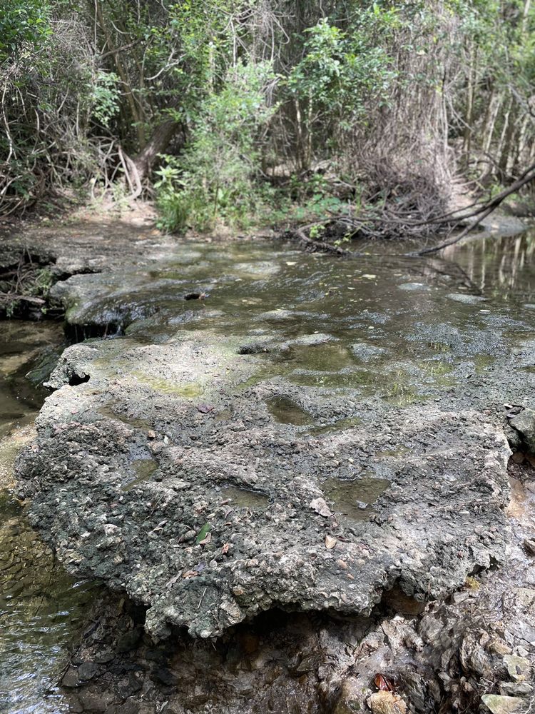 GREAT HILLS PARK TRAIL 107 Photos & 38 Reviews Hiking 10801 Sierra Oaks, Austin, TX