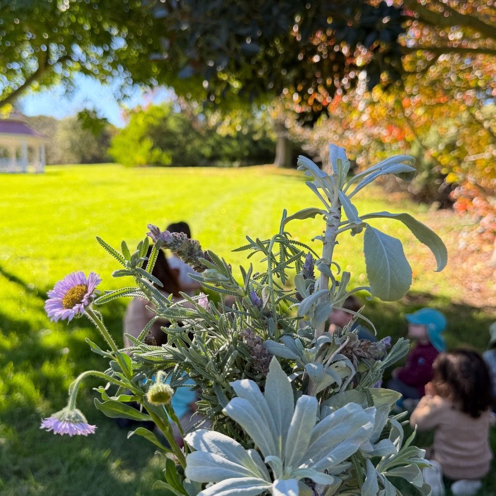 The Native School - The most beautiful park in San Diego! - Preschools Near Me - Carlsbad, California