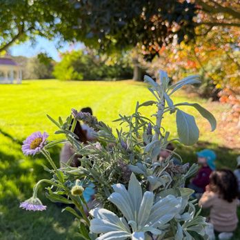The Native School - The most beautiful park in San Diego! - Preschools Near Me - Carlsbad, California The Native School - The most beautiful park in San Diego! - Preschools Near Me - Carlsbad, California