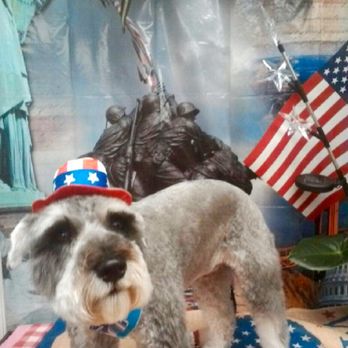 Live Love Pet - Pet Groomers Near Me - Honolulu, Hawaii