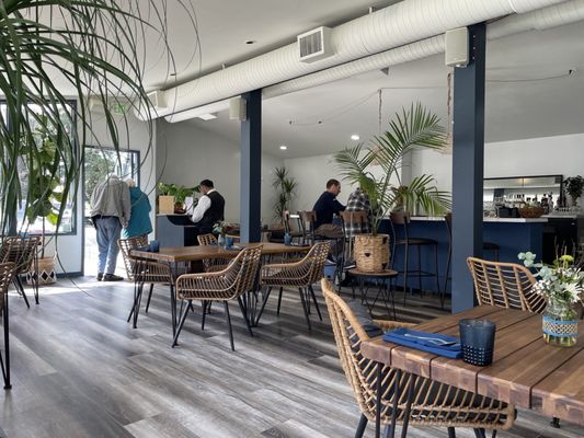 Octopus Baja by null