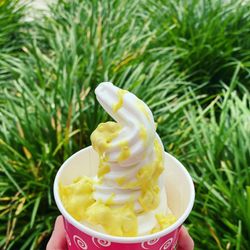 Spoon - Lemon Frozen Yogurt