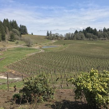 Elk Cove Vineyards - Wineries Near Me - Gaston, Oregon Elk Cove Vineyards - Wineries Near Me - Gaston, Oregon