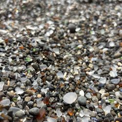 Glass Beach - Pretty sea glass all over the beach if you look closely!