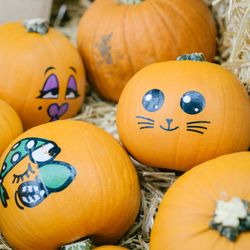 Jubilee Marketplace - Cute pumpkins