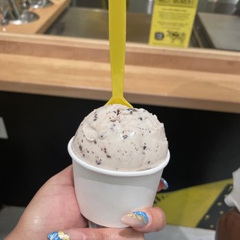 Melt Ice Creams - Cookie Crush - Desserts Near Me - Dallas, Texas Melt Ice Creams - Cookie Crush - Desserts Near Me - Dallas, Texas