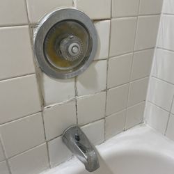 Quality Inn Mill Hall - Lamar - Shower...