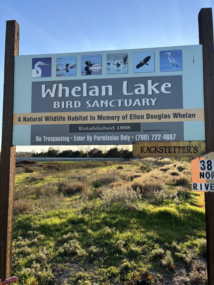 WHELAN LAKE Updated October 2024 18 Photos Whalen Lake Rd