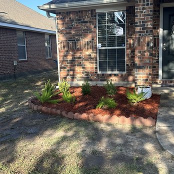 On Point Tree Service - Tree removed, New extended flower bed - Tree Services Near Me - Katy, Texas On Point Tree Service - Tree removed, New extended flower bed - Tree Services Near Me - Katy, Texas