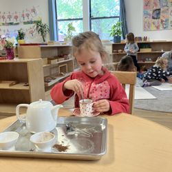 Sunflower Montessori School