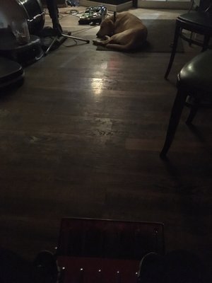 Rod, Gun & Barbers by null