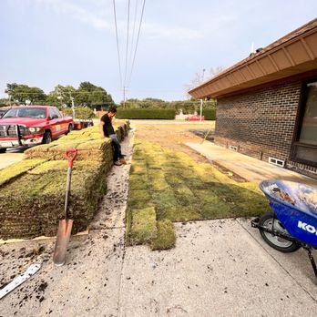 Jose‘s Tree Services - Sod/Fresh installation & preparation - Tree Services Near Me Jose‘s Tree Services - Sod/Fresh installation & preparation - Tree Services Near Me