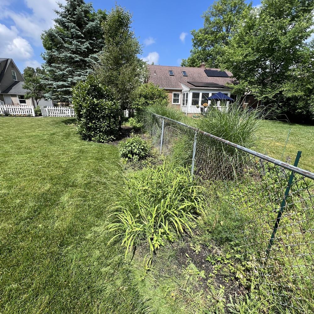 GrassCLE Landscaping Services - Before Grass CLE worked on our beds - Landscaping Near Me GrassCLE Landscaping Services - Before Grass CLE worked on our beds - Landscaping Near Me