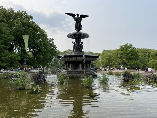 Bethesda Fountain by null