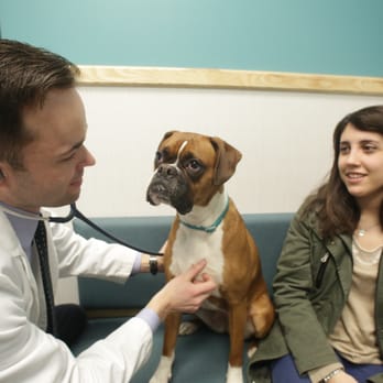 Boulevard Veterinary Logan Square - Veterinarians Near Me - Chicago, Illinois