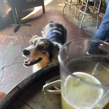 The Bar On Dolores - Sports Bars Near Me - San Francisco, California The Bar On Dolores - Sports Bars Near Me - San Francisco, California
