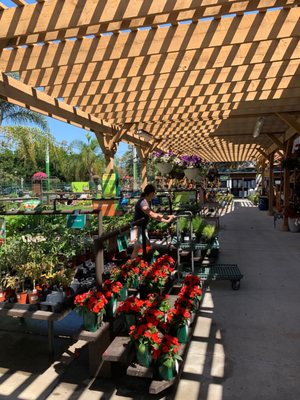 Armstrong Garden Centers 701 N El Camino Real Encinitas Ca Florists Mapquest Armstrong Garden Centers 701 N El, Armstrong Nursery Del Mar