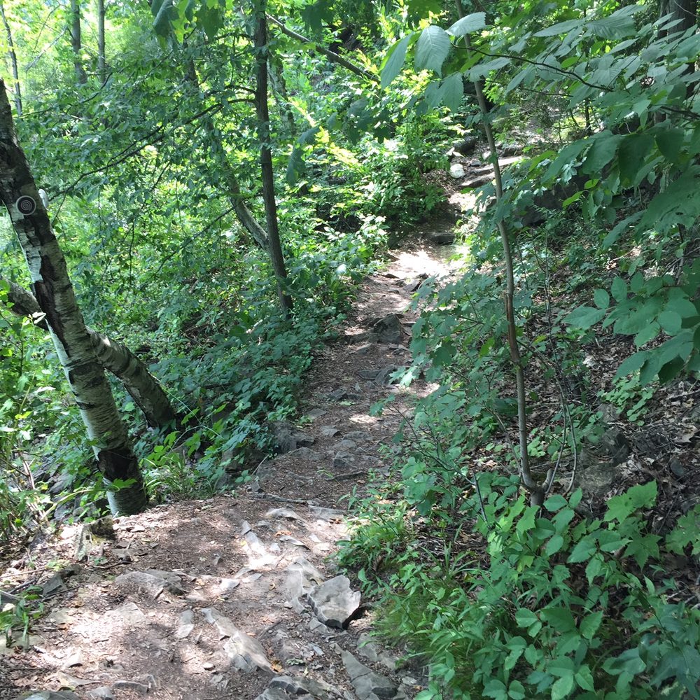Niagara Glen Nature Reserve - shady whirlpool trail - Parks Near Me - Niagara Falls, Ontario Niagara Glen Nature Reserve - shady whirlpool trail - Parks Near Me - Niagara Falls, Ontario