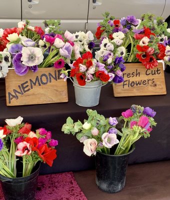 Chico Certified Farmers Market by null