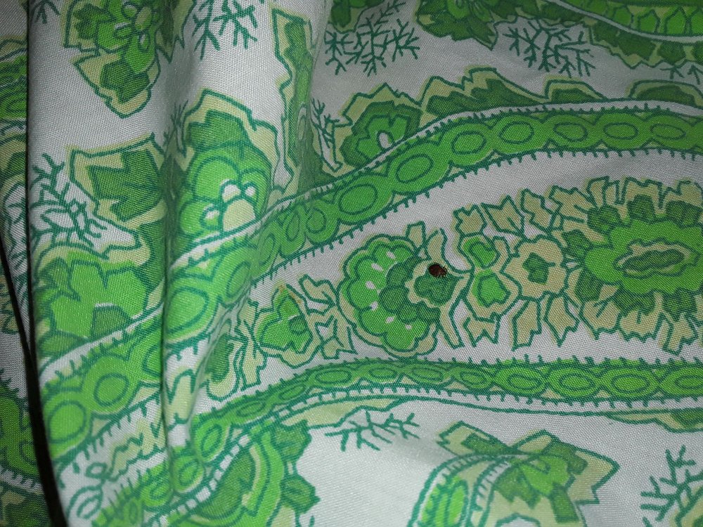 PARKER HOUSE PROPERTIES Updated September 2024 643 Cape Coral Pkwy