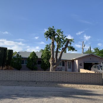 Bradfords Tree Services - After - Tree Services Near Me