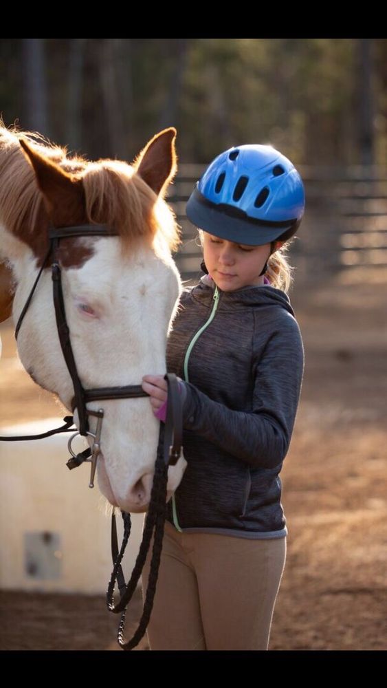 Charlotte Equestrian Club - equestrian in Charlotte, NC