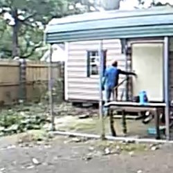 Dirt Cheap Tree Services - One of their guys trying out the knob on my shed door..... also note the mess on the ground... they left that too...