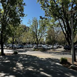 Davis Commons Lot