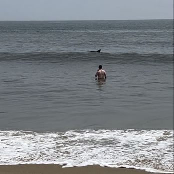Virginia Beach Ocean Front - Beaches Near Me - Virginia Beach, Virginia Virginia Beach Ocean Front - Beaches Near Me - Virginia Beach, Virginia