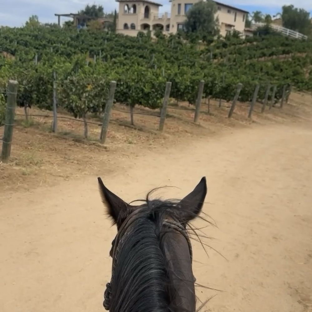 California Ranch Company - Horseback Riding Near Me - Temecula, California